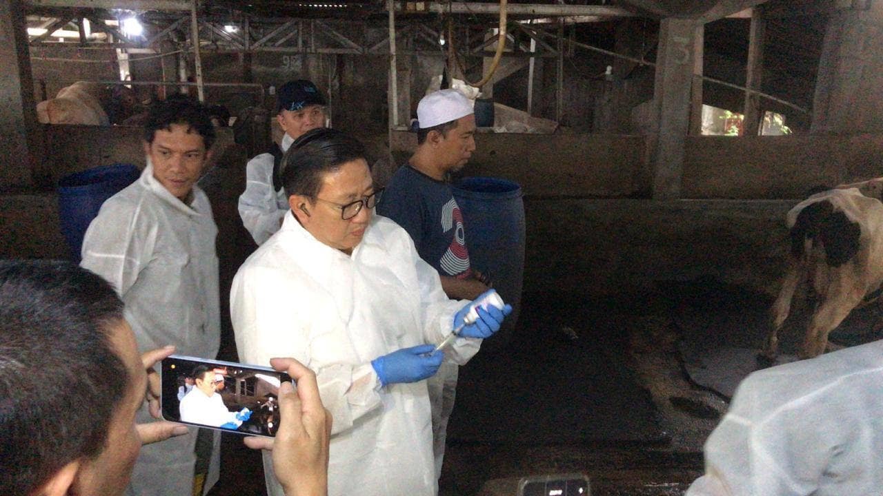 Genjot Vaksinasi, Kementan Pastikan Pengendalian PMK Berjalan Optimal