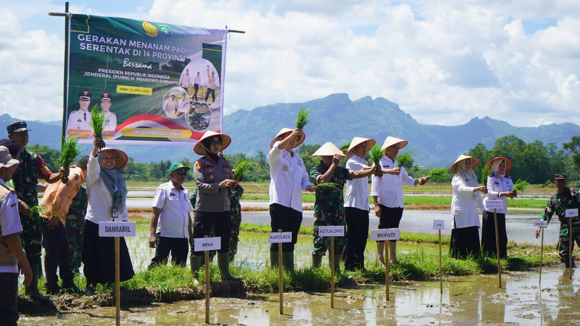 Tanam Padi Serentak di 14 Provinsi, Pemerintah Pacu Swasembada dan Kedaulatan Pangan