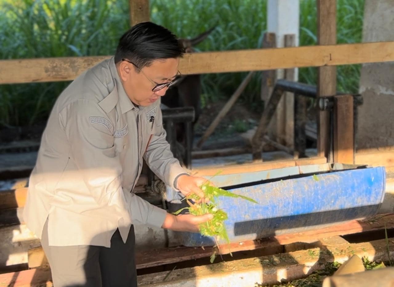 Kementan Gandeng Bone Bangun Ekosistem Peternakan Kawasan Timur