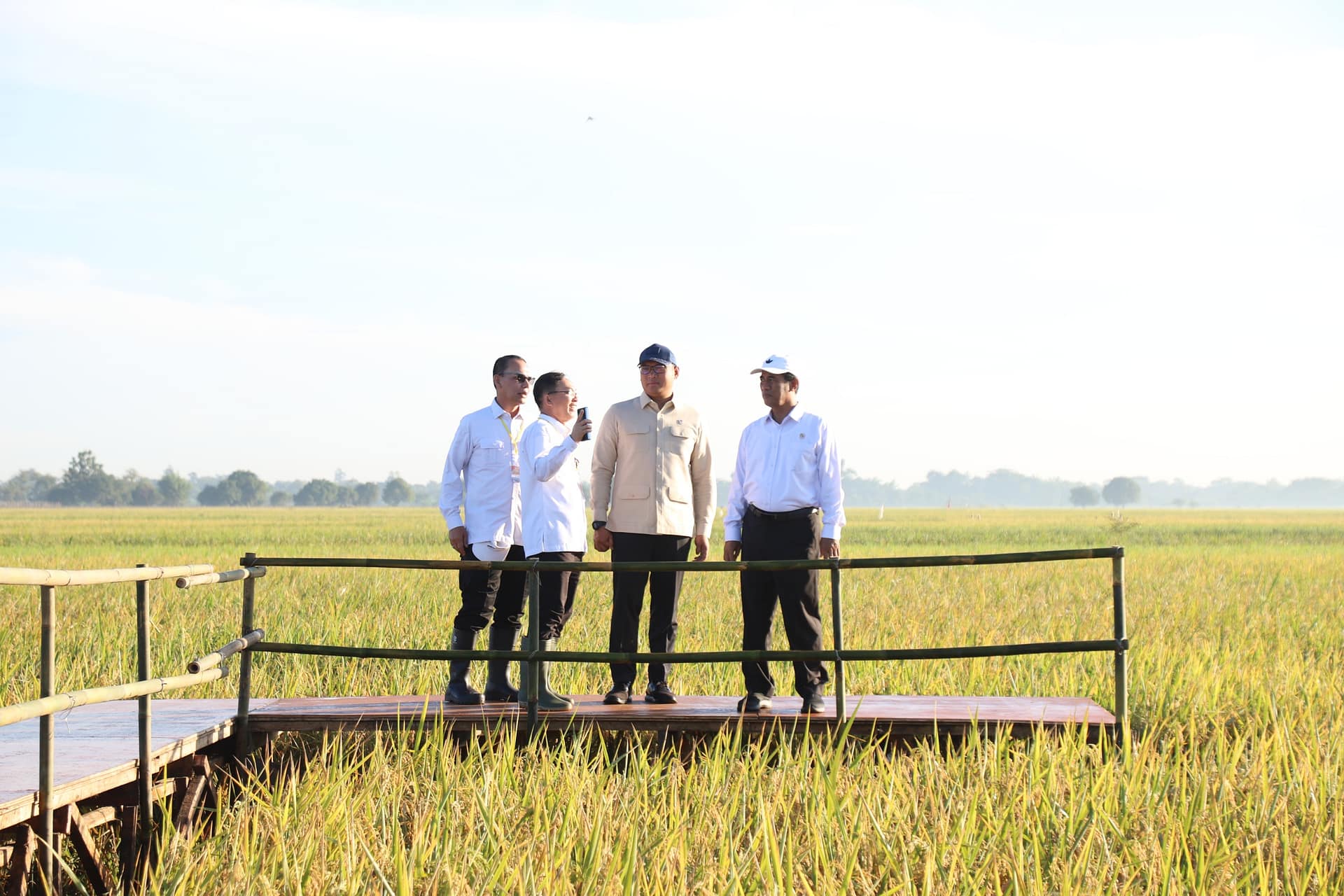 Serapan Beras Bulog Januari–Mei Catat Rekor Tertinggi dalam 57 Tahun, Tanpa Kebutuhan Impor