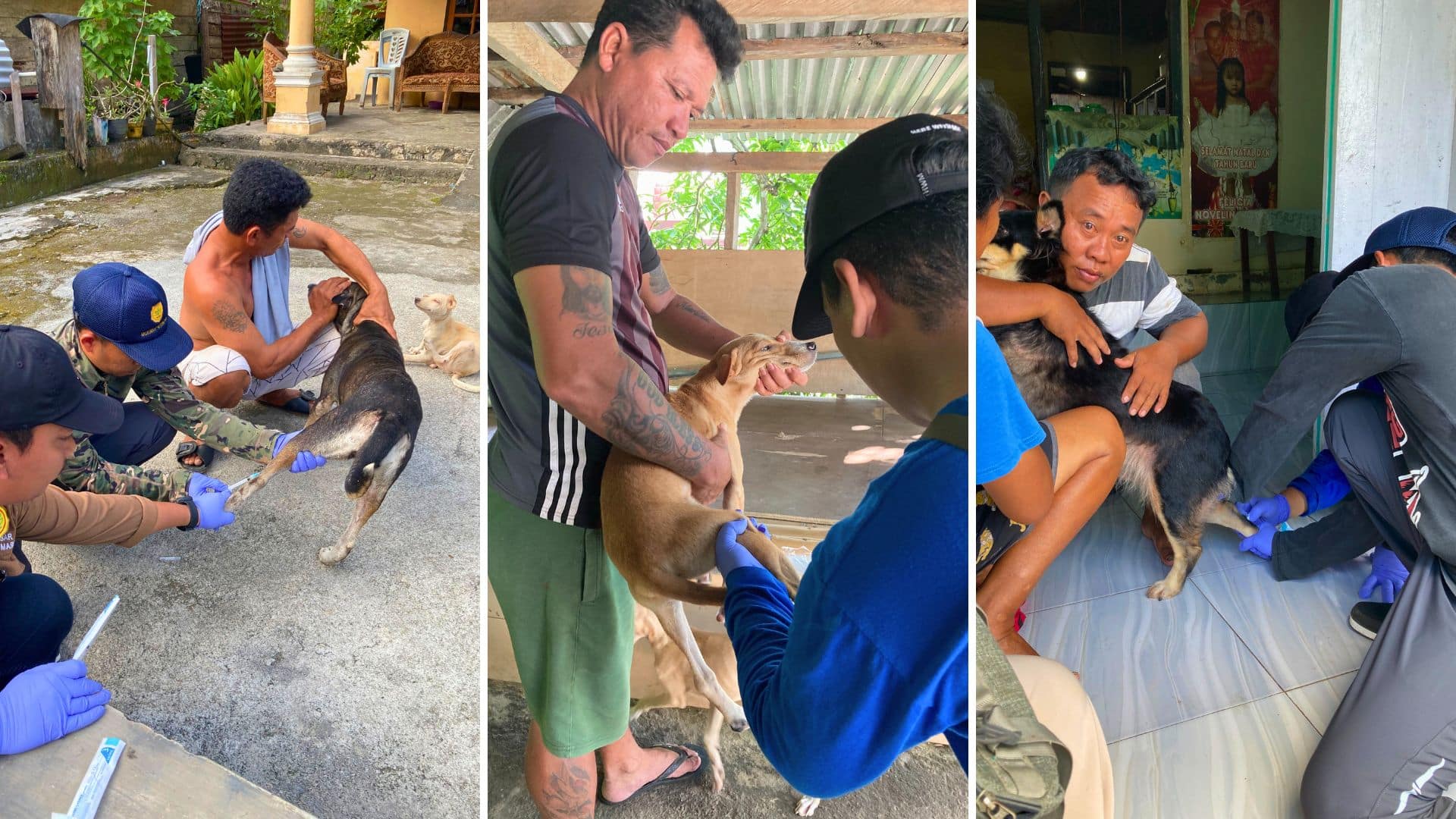 BBV Maros Laksanakan Surveilans Rabies di Kabupaten Kepulauan Sitaro, Sulawesi Utara