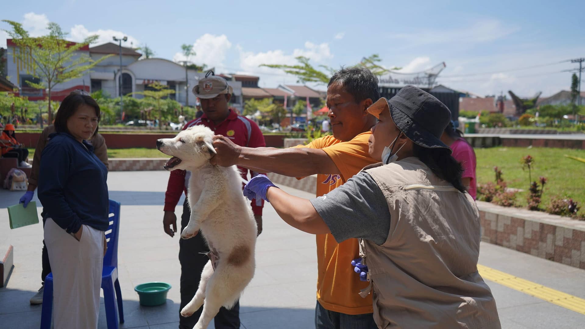 BBV Maros Gelar Vaksinasi Rabies Gratis di Tiga Kabupaten Sulsel pada Puncak World Rabies Day 2025