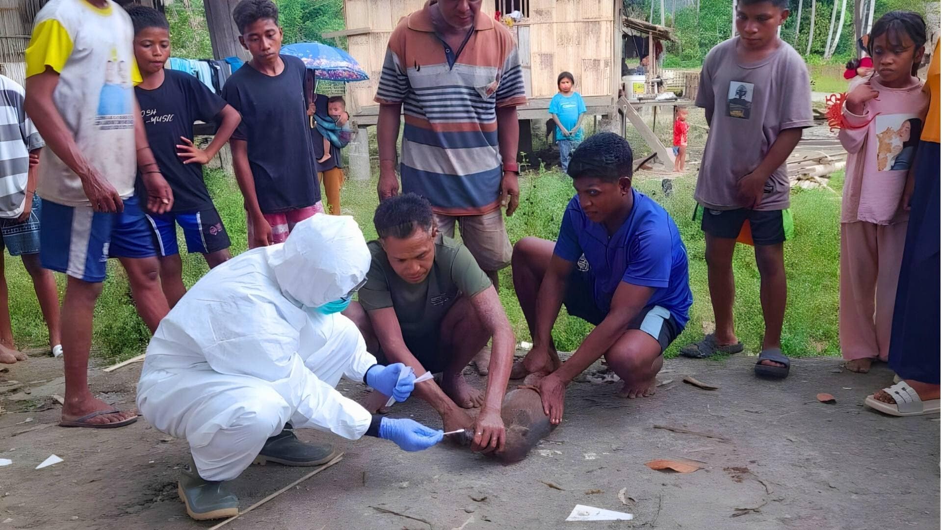 BBV Maros Lakukan Investigasi Kasus Kematian Ternak Babi di Kabupaten Pulau Taliabu