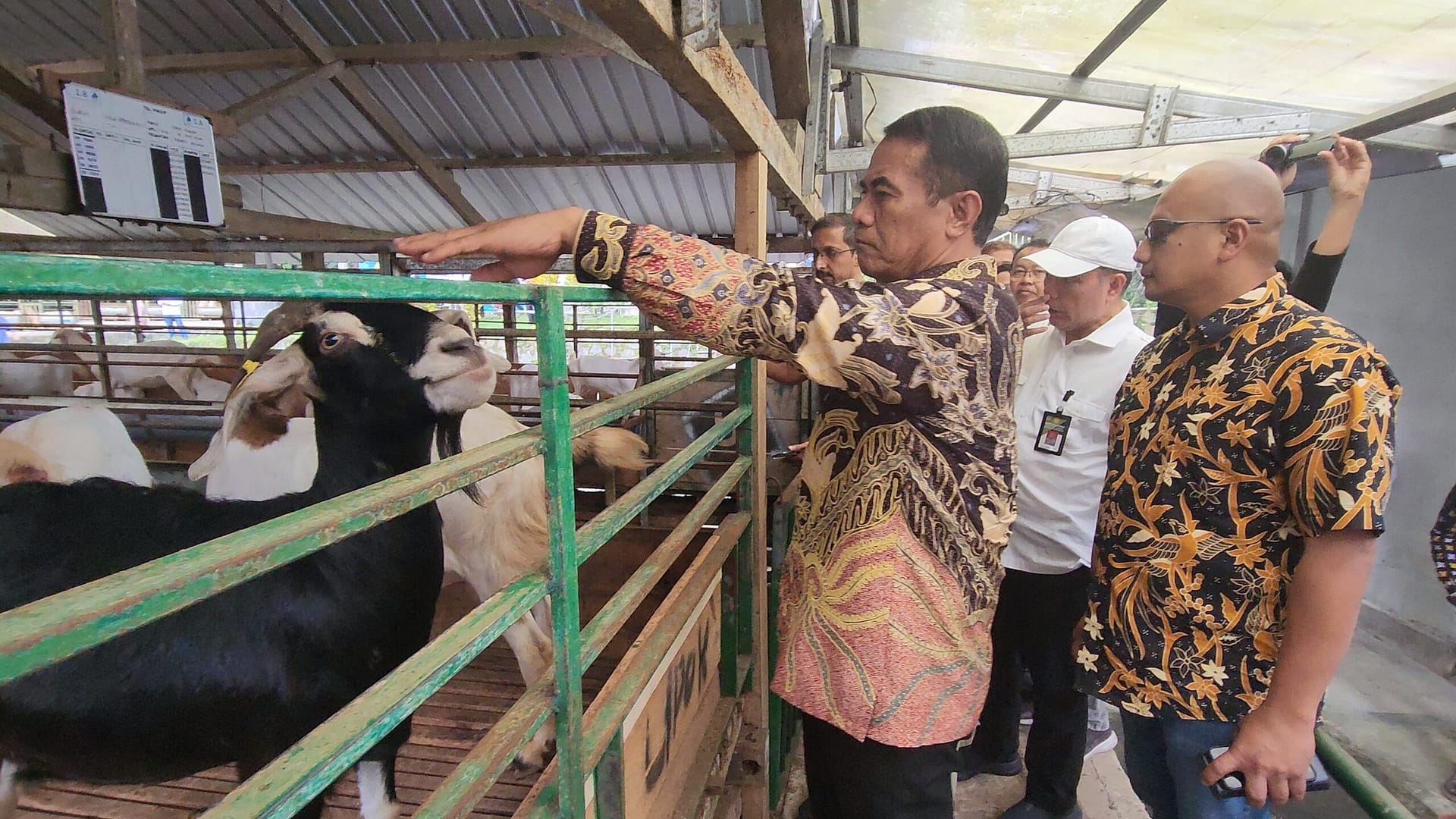 Menteri Pertanian Dorong Produksi Susu Kambing Perah Nasional