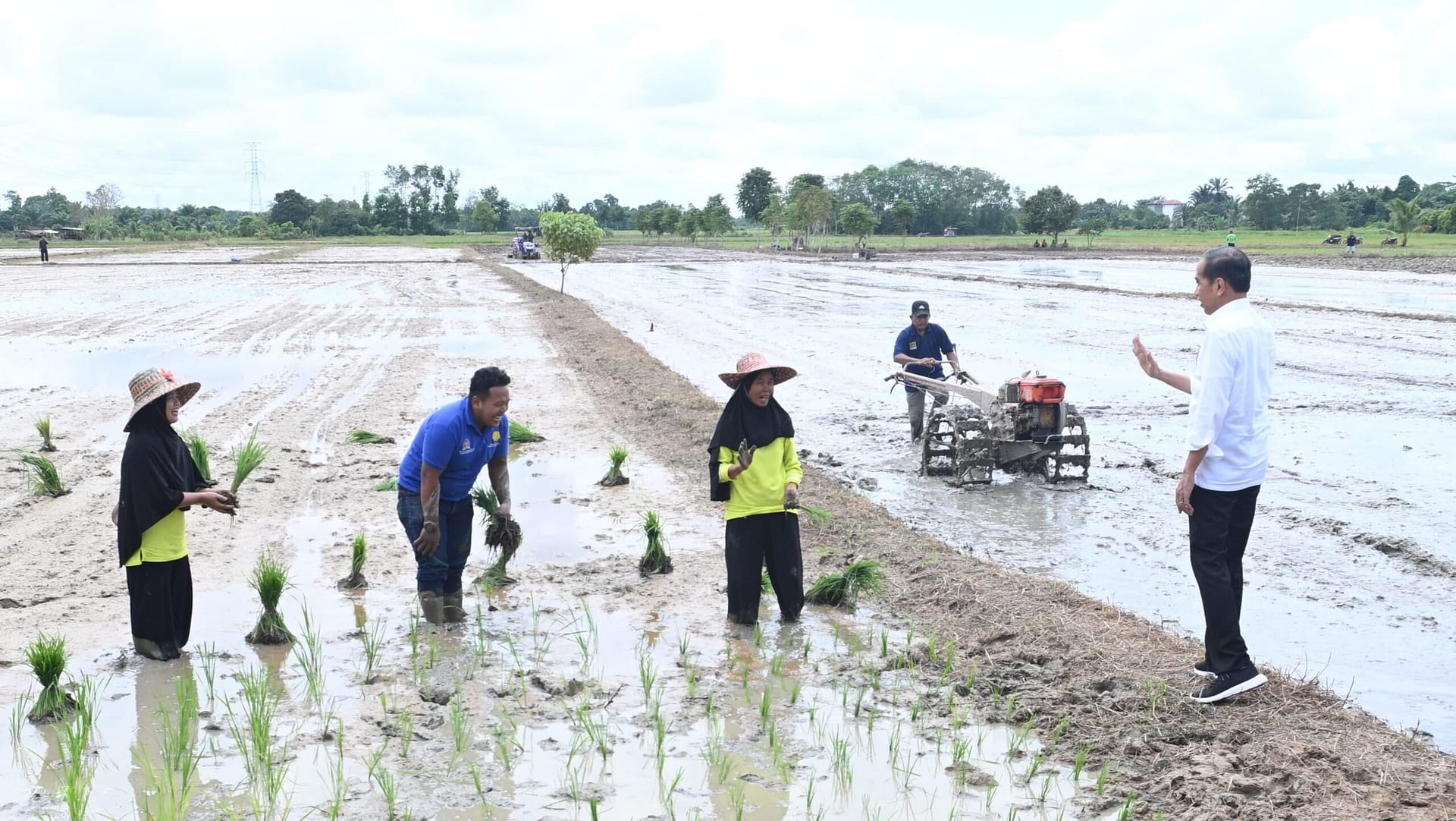 Presiden Jokowi dan Menteri Pertanian Tinjau Kesuksesan Program Pompanisasi di Kalimantan Tengah