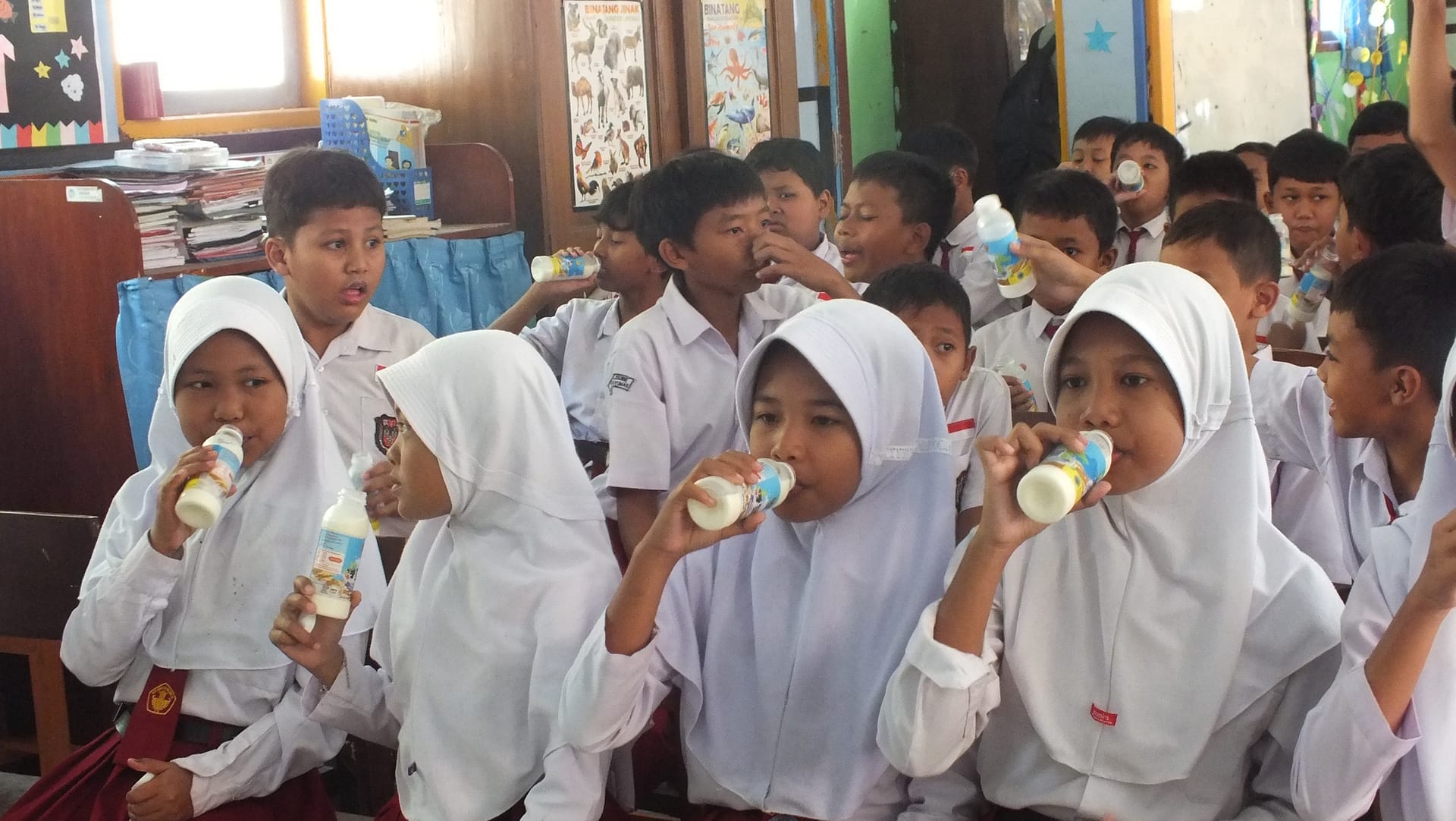 Suksesnya Gerakan Minum Susu di Banyumas: Membangun Generasi Sehat dan Cerdas