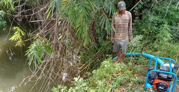 Sukses Program Pompanisasi: Kabupaten Soppeng Lampaui Target Perluasan Lahan Tanam