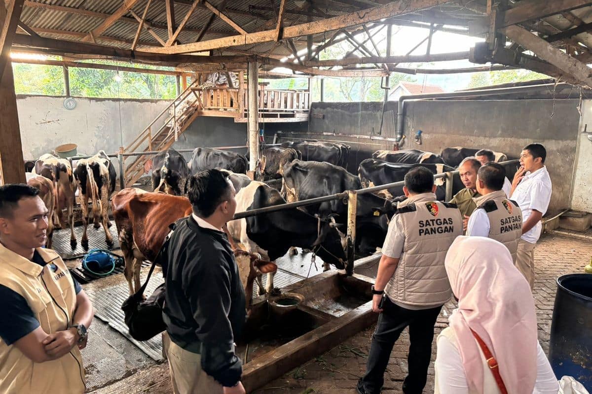 Peternak Demo Buang Susu, Satgas Pangan Polri Turun Tangan